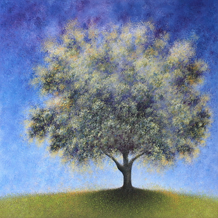 Purple Wattle - painted by Alan Moloney - 102cm x 102cm . Oil on Canvas